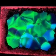 Arkadiusz Sylwestrowicz